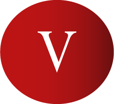 Vision